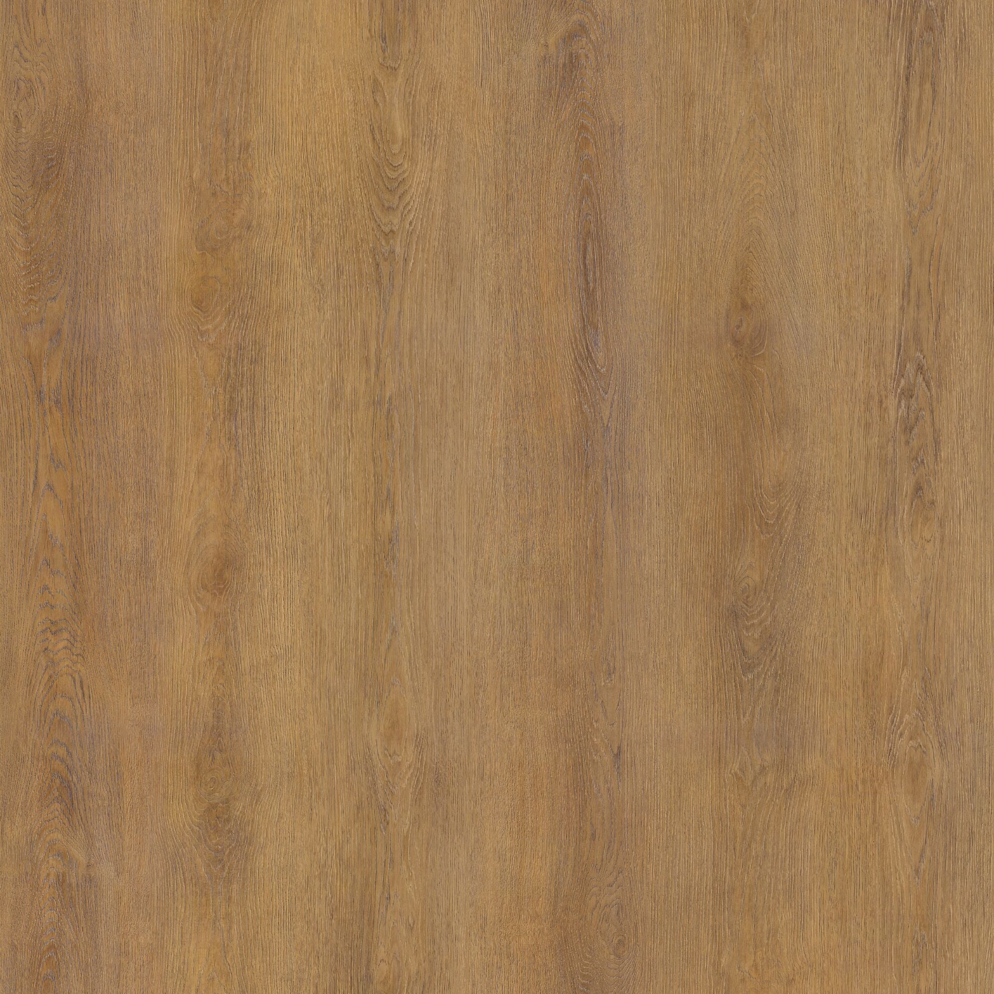LW04: Sonama Oak