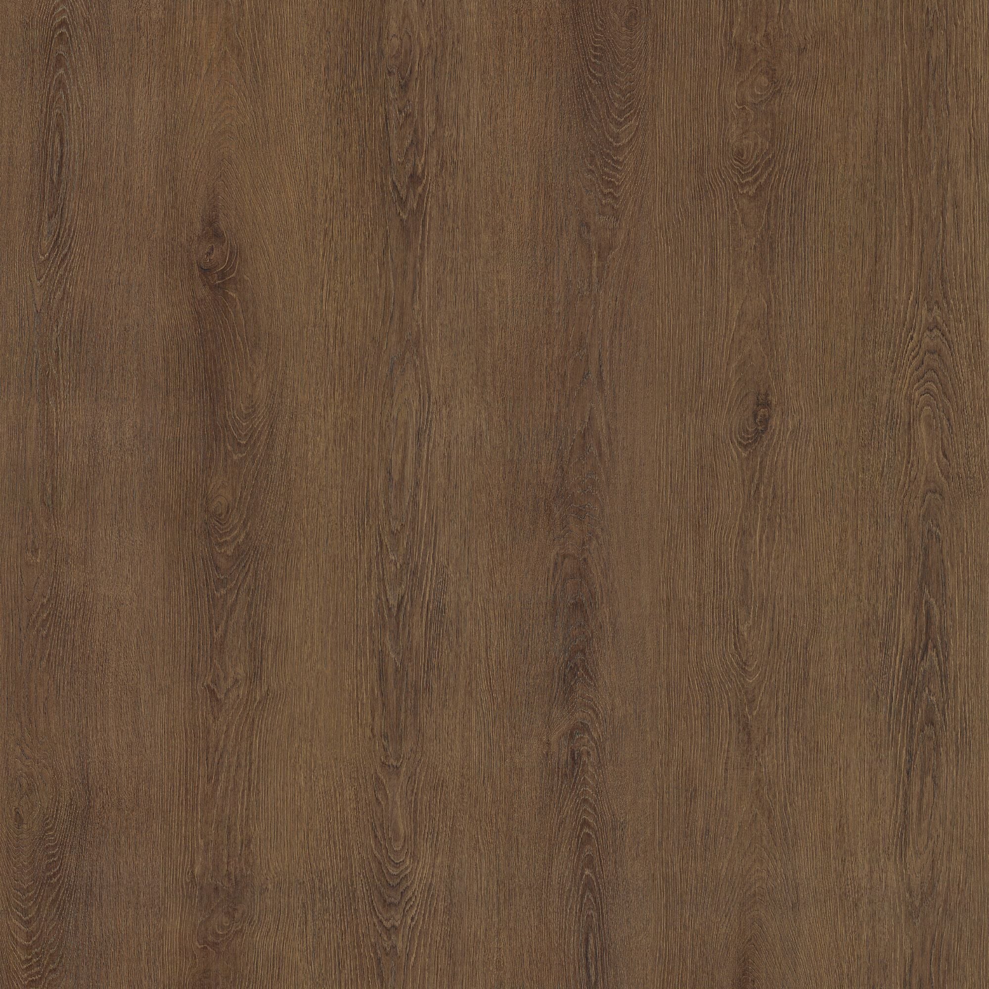LW06: Sonama Oak
