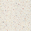 NS708: Color Terrazzo