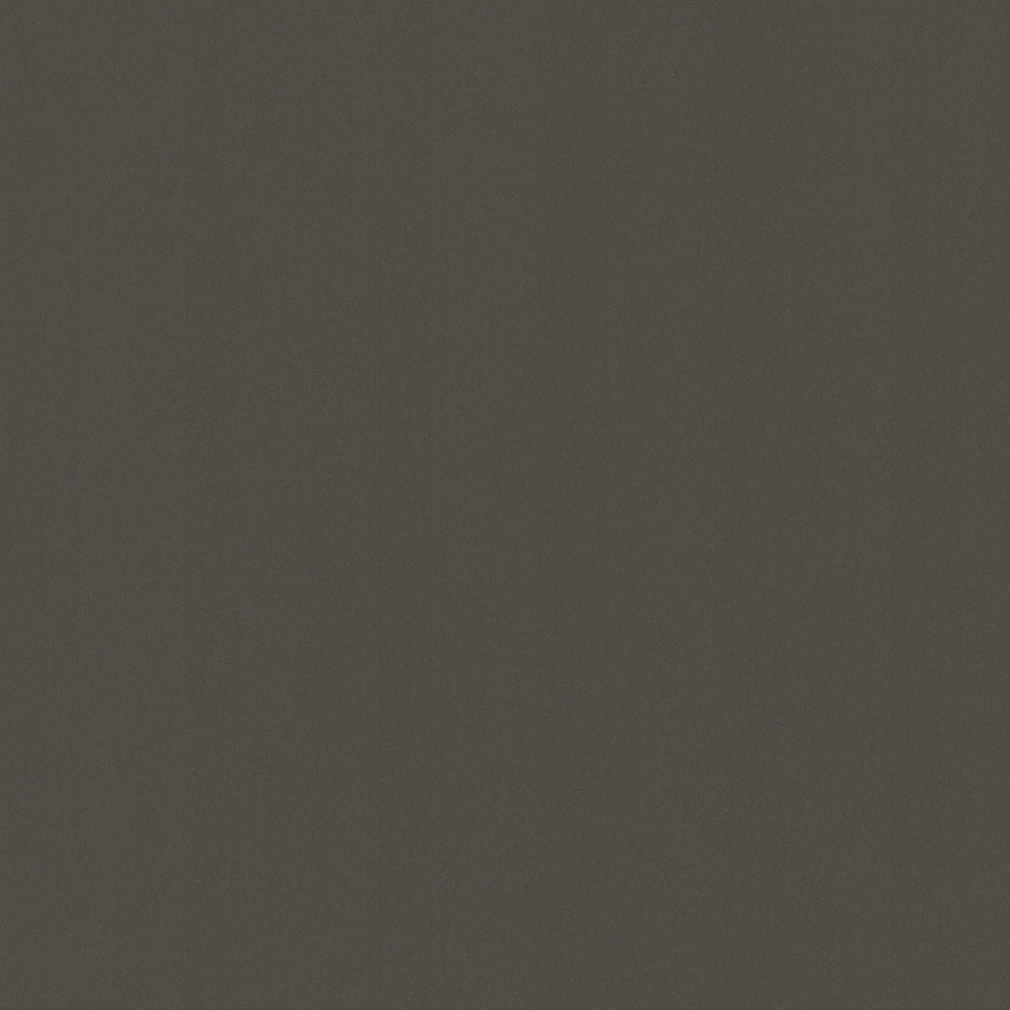 NS717: Particle Stone