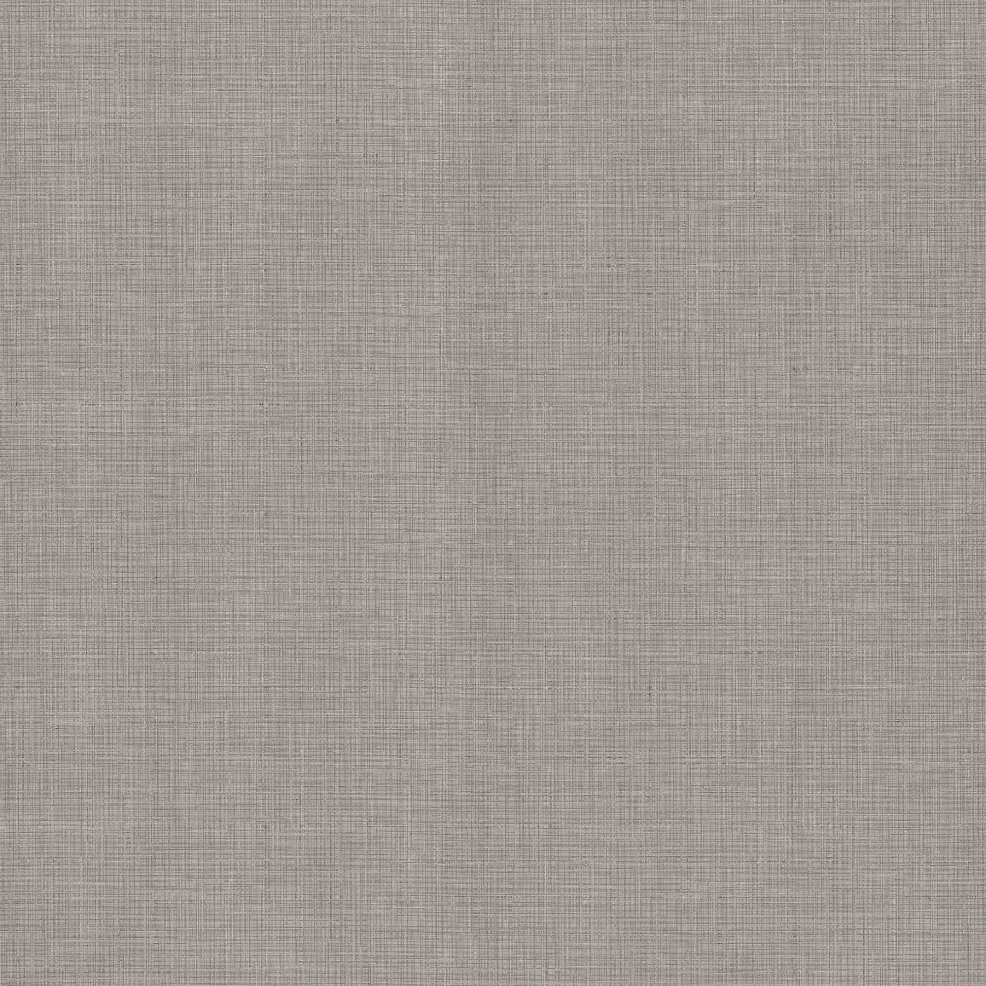 NS821: Metalic Woven