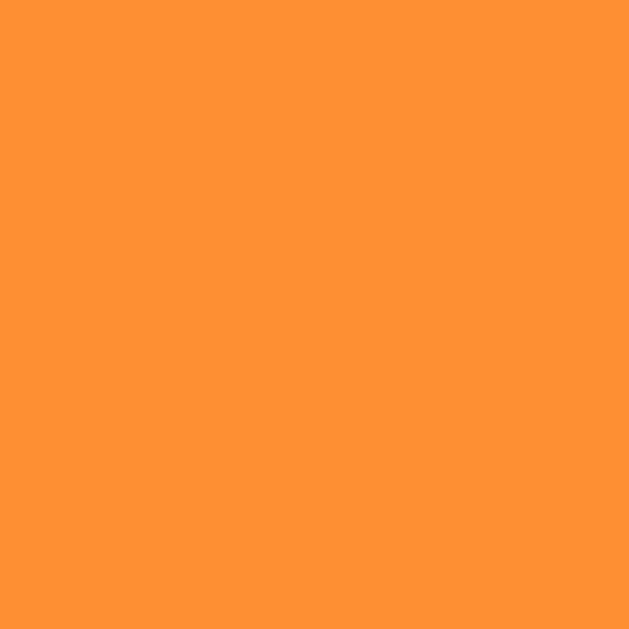 S169: Orange