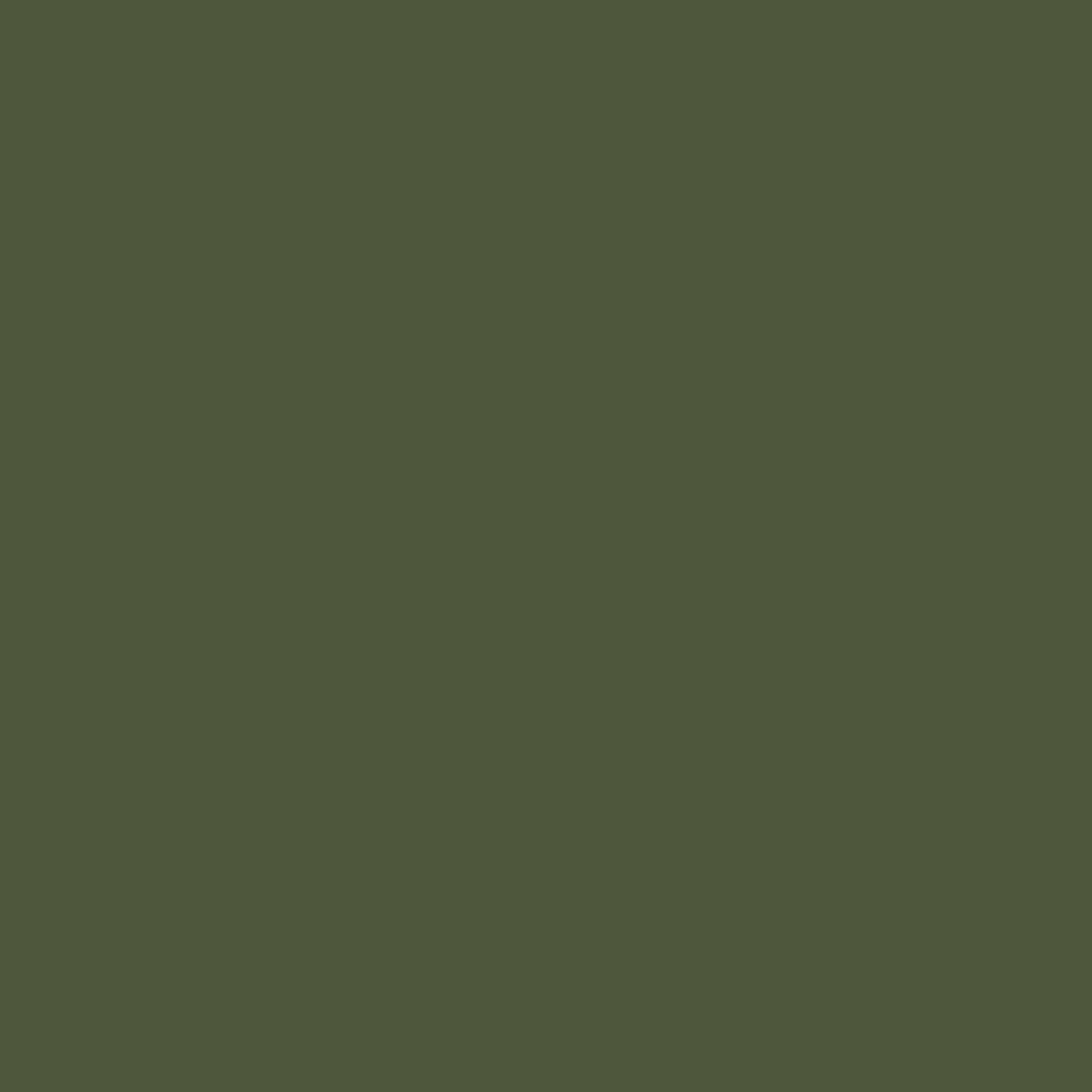 S202: Seaweed Green