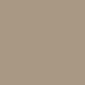 S246: Desert Tan