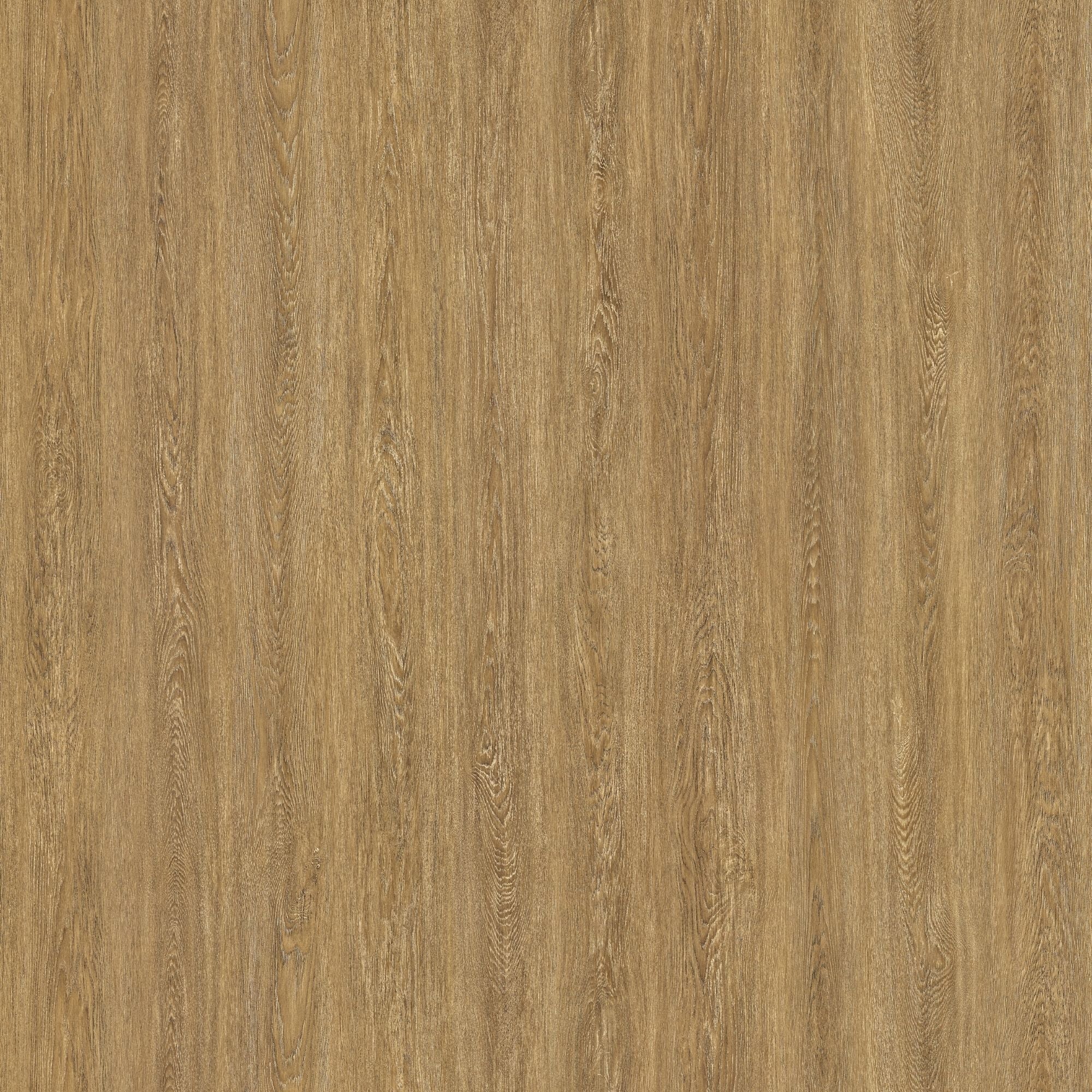 SPW12: White Oak