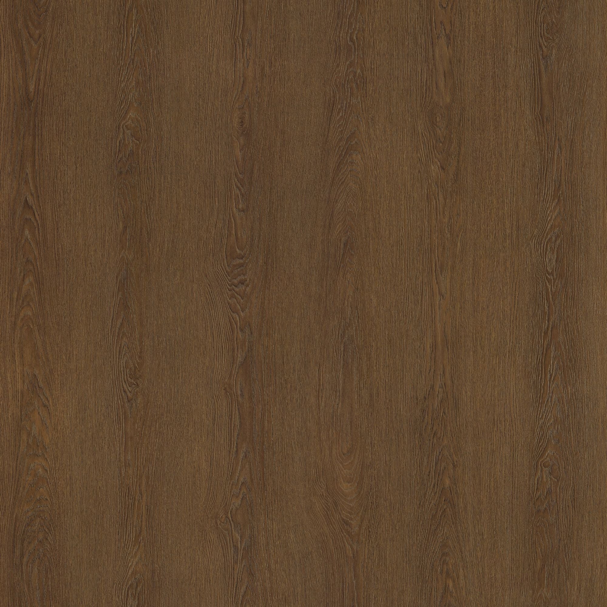 SPW19: Dark Oak