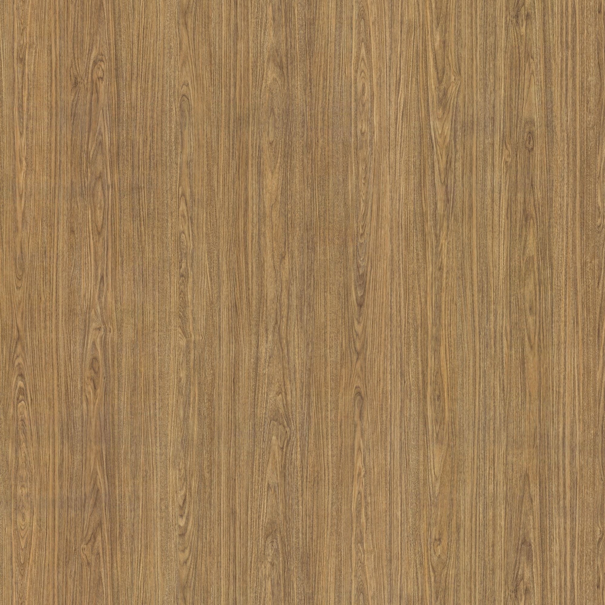 SPW26: Walnut