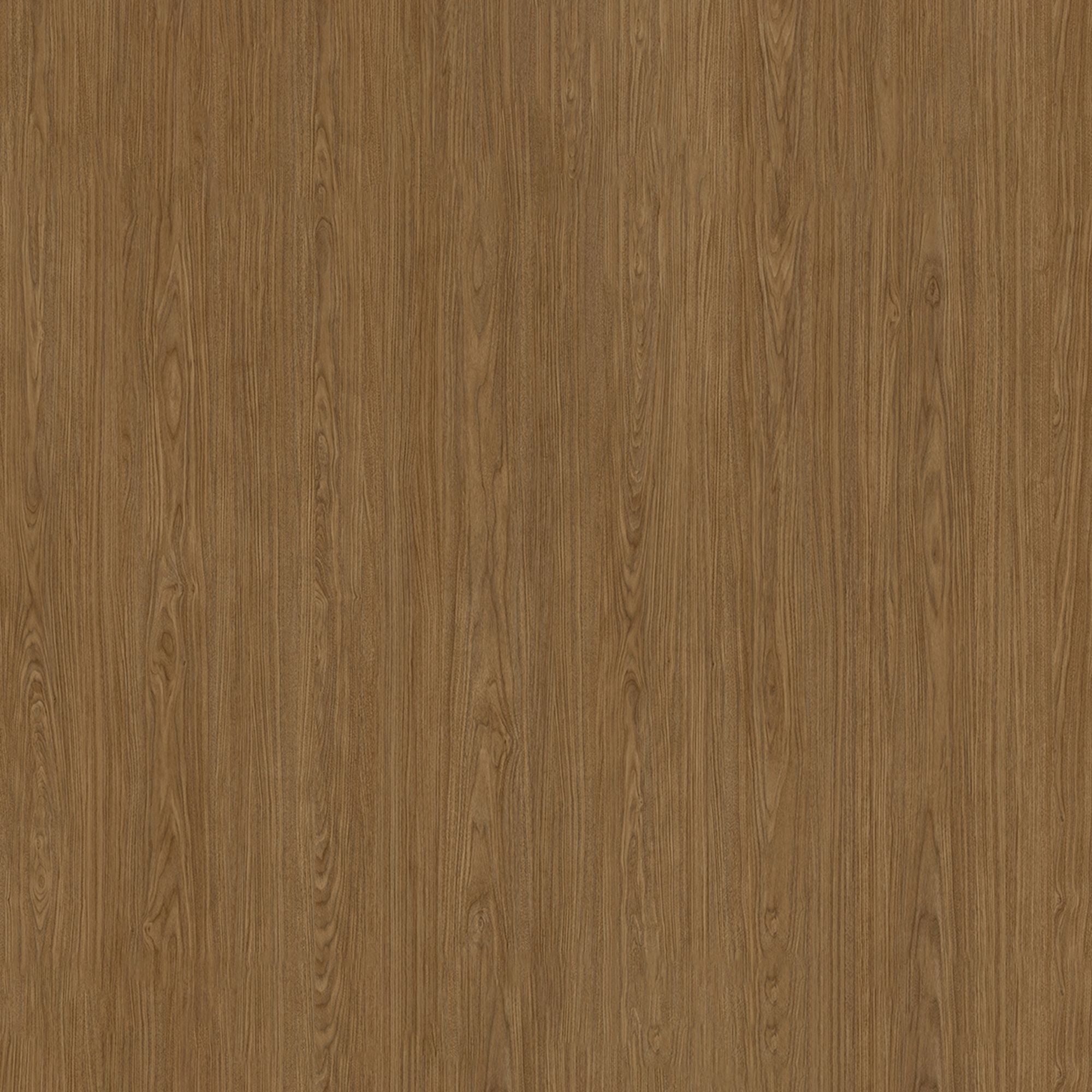 SPW27: Walnut