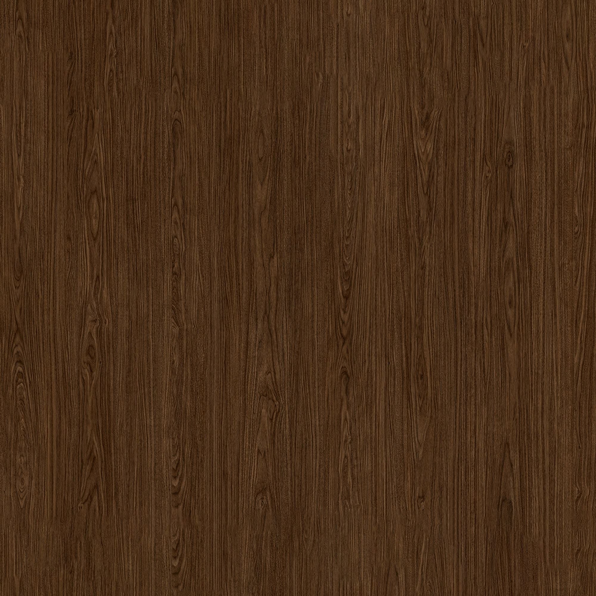SPW28: Walnut