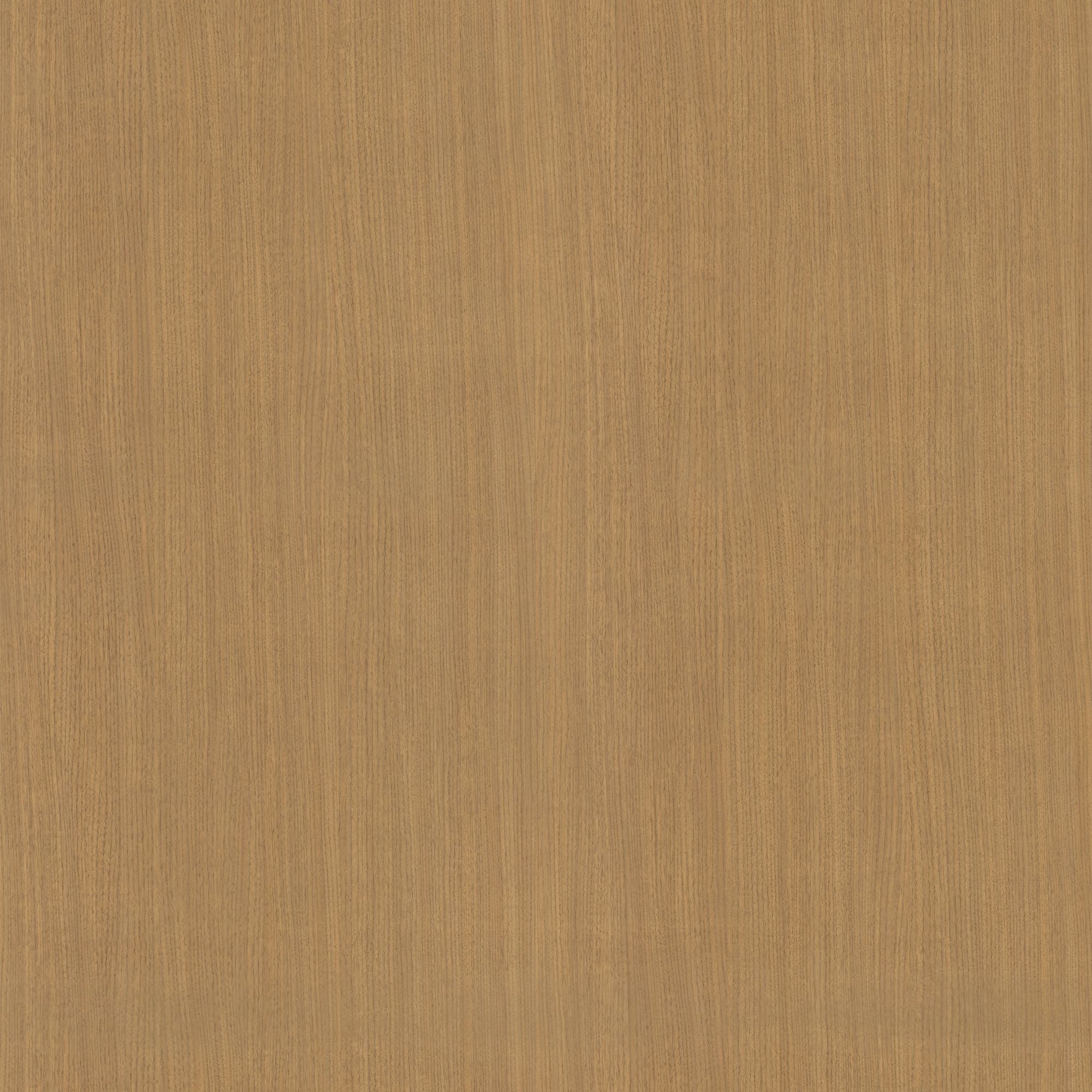 SPW52: Walnut