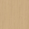 SPW62: Wash Oak