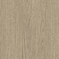 SPW70: Eucalyptus