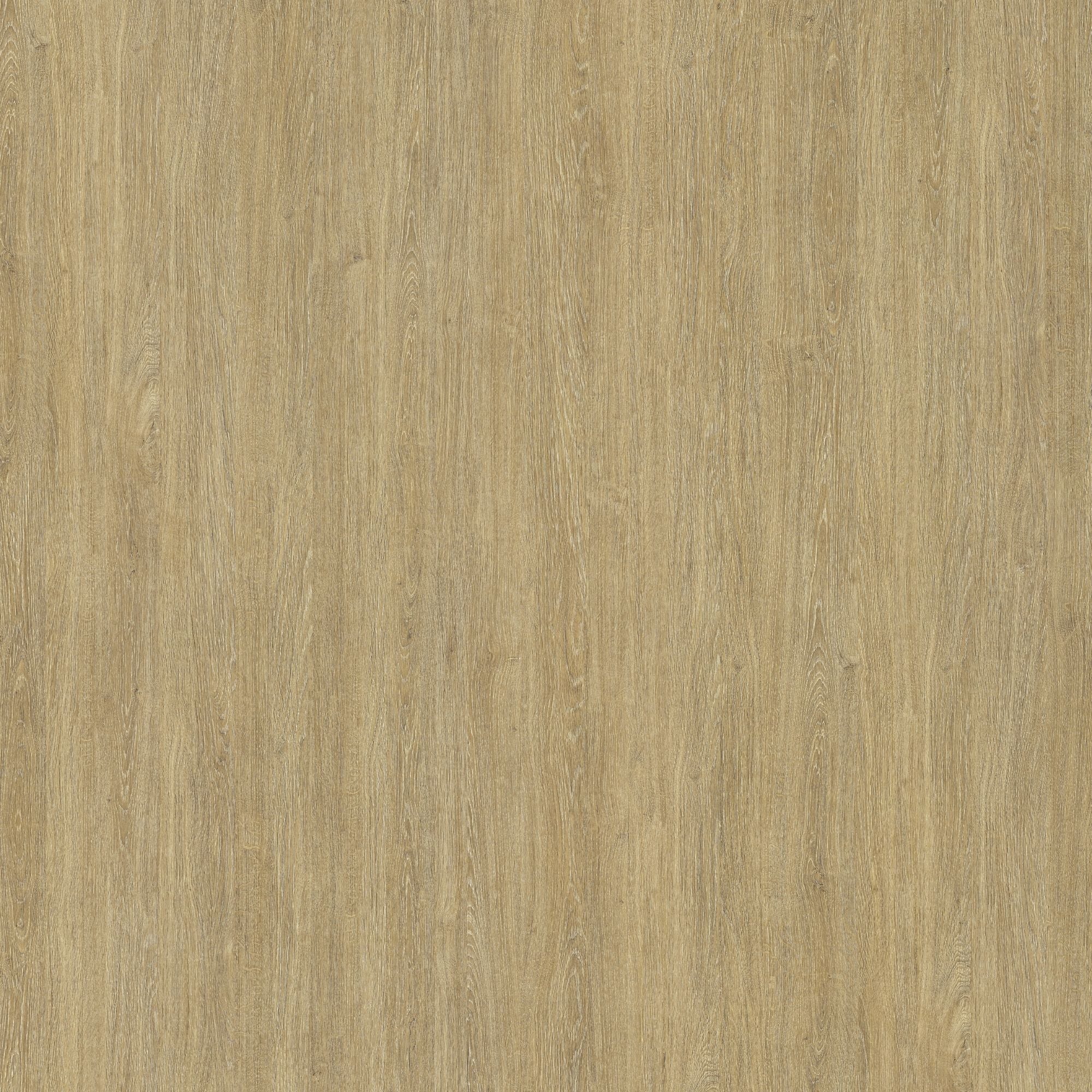 SPW94: Soft White Oak