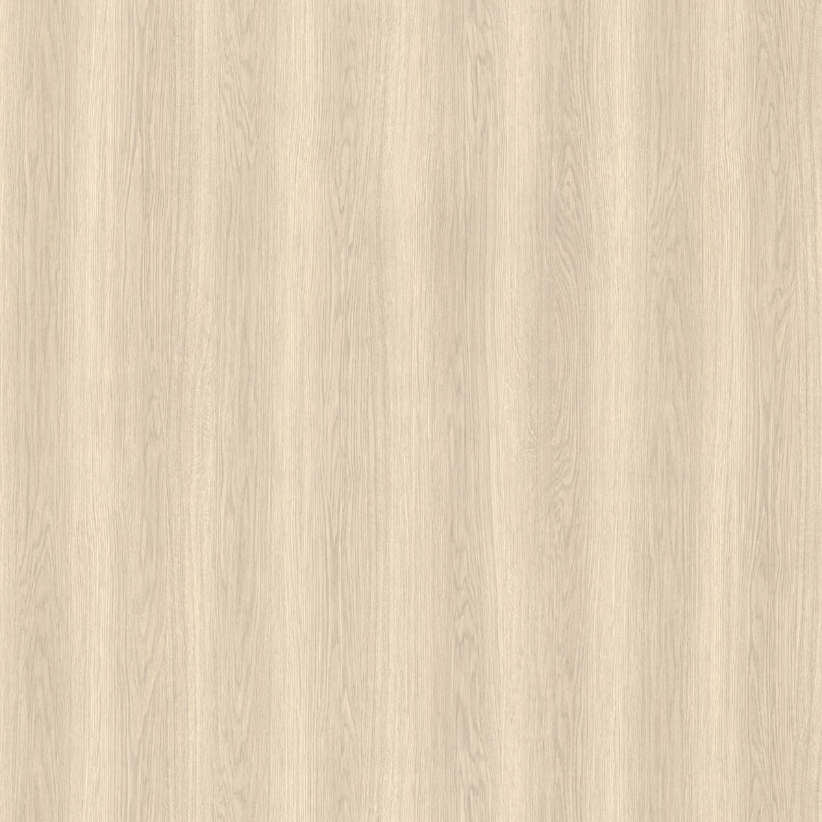 W871 Oak | Bodaq Standard Wood Architectural Film