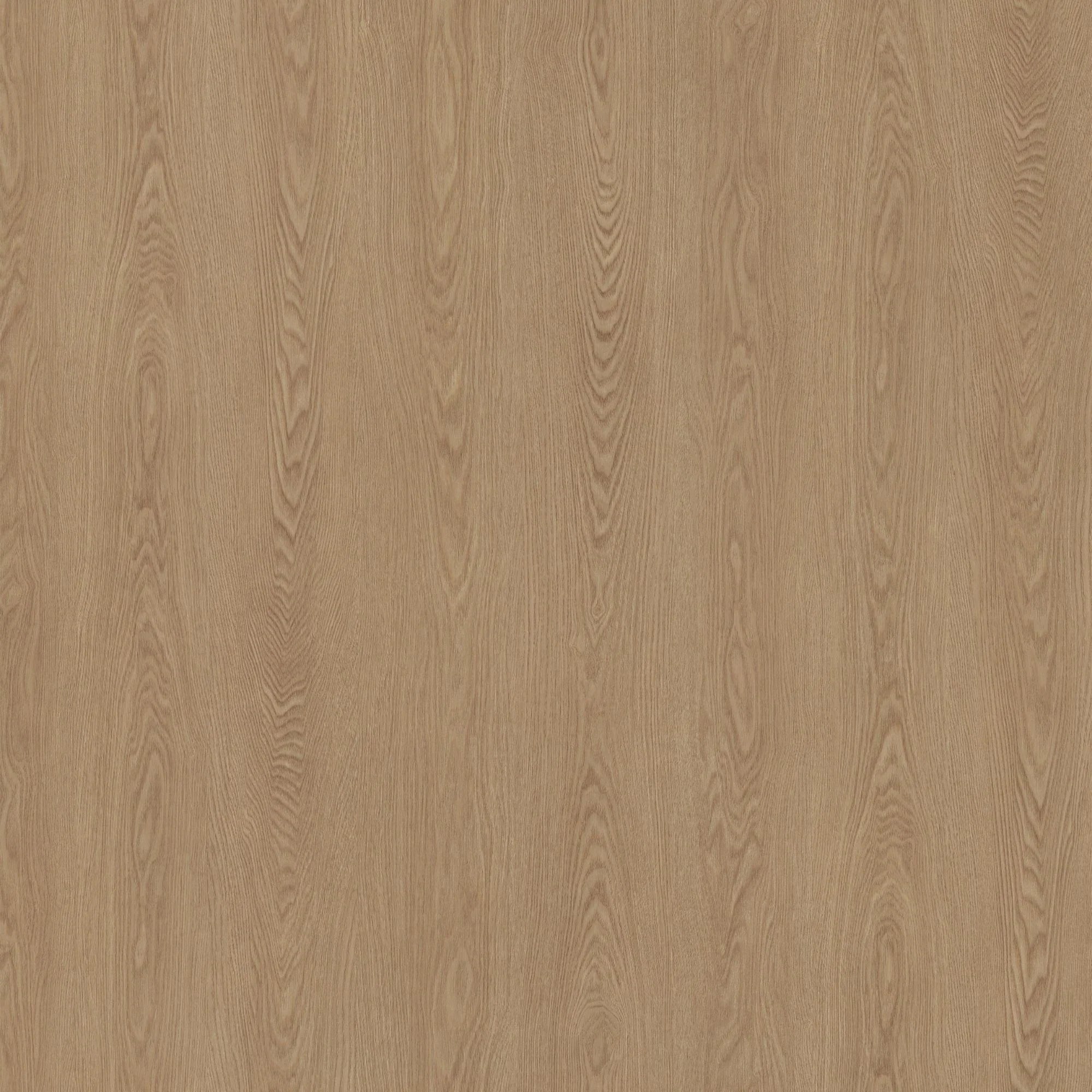 ZX131: Oak
