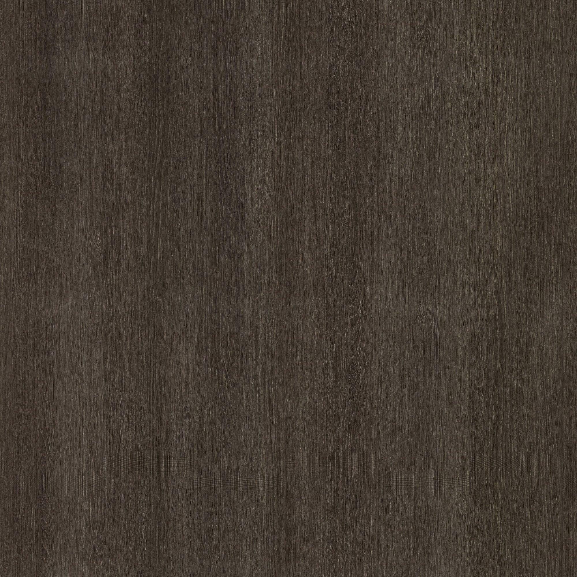 ZX141: Ash