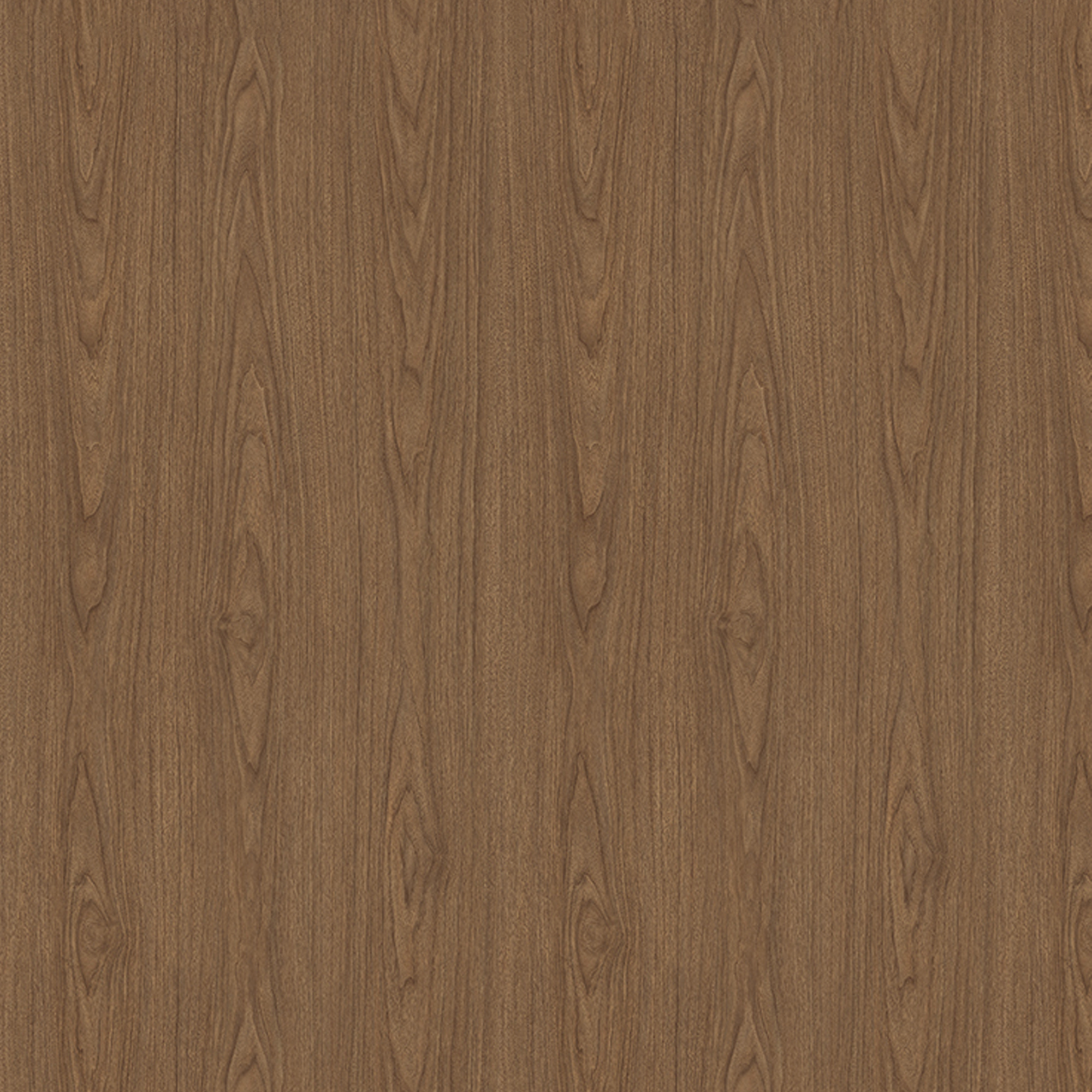 ZX158: Walnut