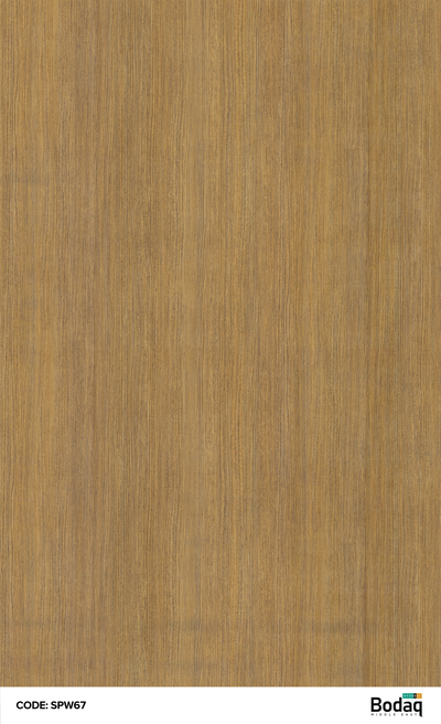 SPW67: Elm